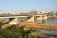 pont-orleans-fleurs-cout