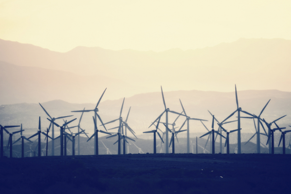 Eoliennes et argent public ©Shutterstock